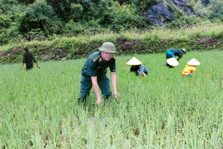 “Bộ đội Mão của bản”
