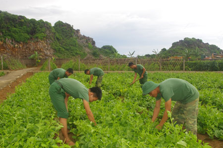 “Thực túc” ở Trung đoàn 1