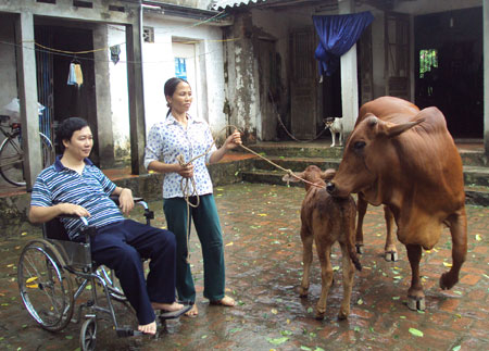 Hỗ trợ sinh kế bền vững cho người khuyết tật