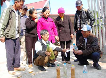 Khổ vì nhẹ dạ, cả tin