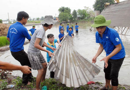 Giá trị đích thực của các mô hình tình nguyện