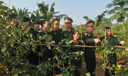 Thêm nhiều mái ấm gia đình quân khí