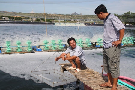 Đừng ham lợi nhỏ mà mất nguồn thu lớn