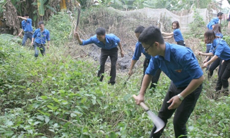 Hướng về cơ sở, chú trọng mô hình giúp dân hiệu quả