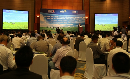 Cần phát triển ngành công nghiệp bò và sữa một cách bền vững