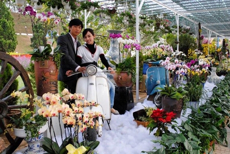 Làm giàu nơi xứ sở ngàn hoa