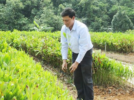 Nghị lực của một tỷ phú nông dân