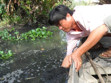 Nhiều doanh nghiệp xả chất thải chưa qua xử lý ra môi trường