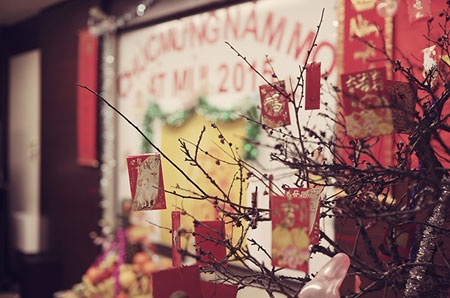 Lưu học sinh tại Việt Nam hân hoan đón chào Tết nguyên đán 