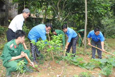 Bộ đội về, làng quê khởi sắc