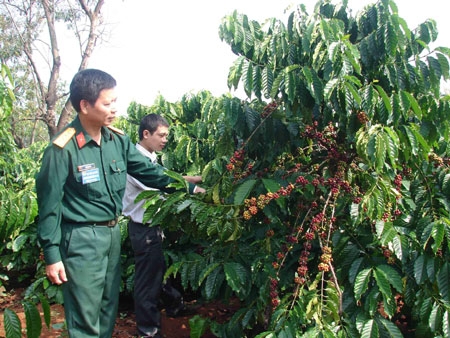 Gắn kết Kinh - Thượng để cùng nhau phát triển