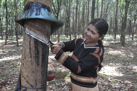Rơ Mah H’Phí làm kinh tế giỏi