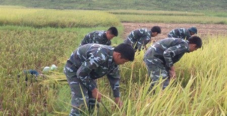 Nơi ta ở… đất hóa tình người