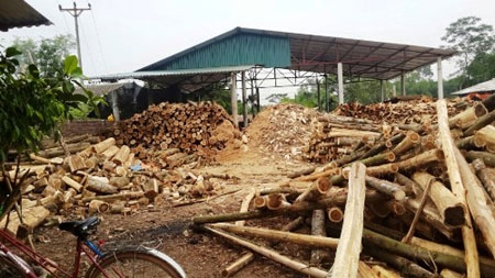 Người thương binh giàu nghị lực