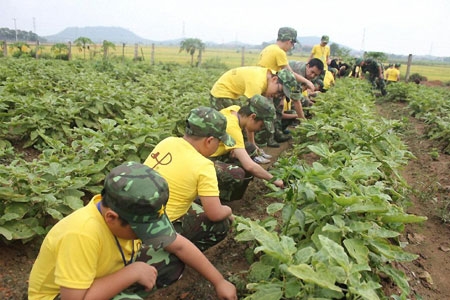 Trải nghiệm Học kỳ quân đội