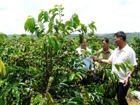 Người thương binh giàu lòng nhân ái