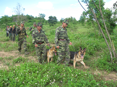 Chặn buôn lậu những ngày cao điểm cuối năm