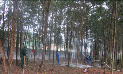 Bảy biện pháp đẩy mạnh triển khai công tác an toàn, vệ sinh lao động và phòng, chống cháy, nổ