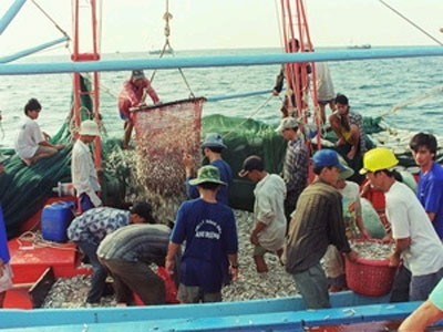 Cấm đánh bắt hải đặc sản ở vùng biển Bình Thuận