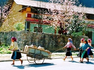 Miền Bắc ấm dần, nhiệt độ cao nhất lên tới 27 độ C