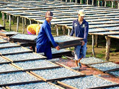 Xây dựng quan hệ lao động hài hòa, bảo vệ lợi ích chính đáng của người lao động