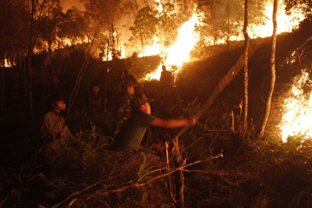 Trường Quân sự BTL Thủ đô Hà Nội tham gia dập tắt cháy rừng