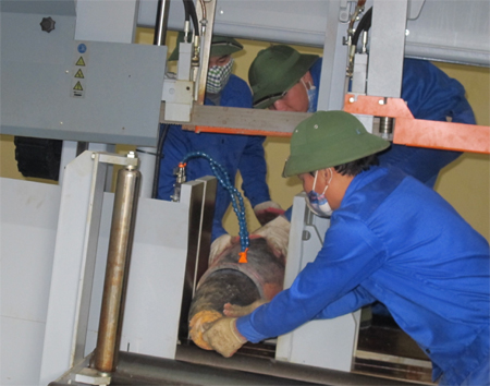 Chú trọng về số lượng, chất lượng nhân viên