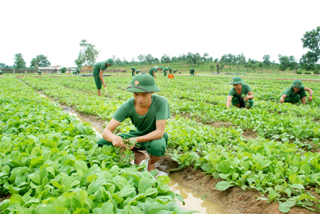 Phát huy thế trận hậu cần nhân dân, chủ động, sáng tạo trong công tác bảo đảm