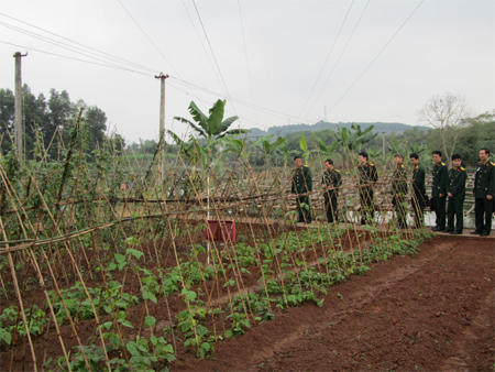 Tạo đột phá từ nhân rộng điển hình tăng gia sản xuất