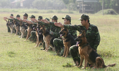 “Vũ khí sống” ở Trường Trung cấp 24 Biên phòng