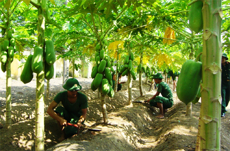 Đột phá về chất lượng công tác bảo đảm hậu cần