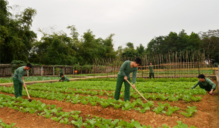 Hiệu quả từ “Ba đột phá”, “Bốn tốt”