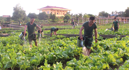 Chủ động các giải pháp, bảo đảm đúng, đủ, kịp thời