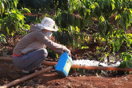 Đắc Lắc ước thiệt hại gần 93 tỷ đồng do khô hạn