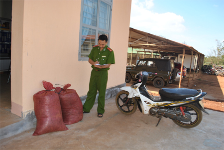 Nỗi lo trộm cắp hồ tiêu 