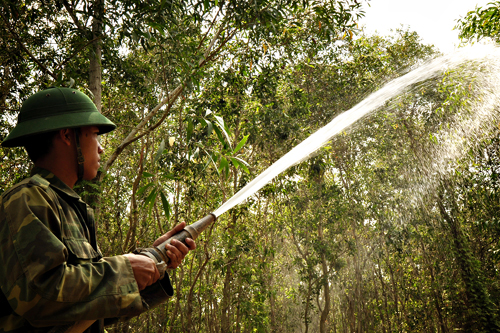 Bộ đội tỉnh Đồng Tháp tham gia bảo vệ rừng