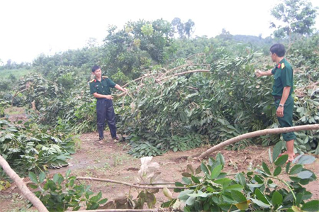 Vụ vỡ đập thủy điện Ia Krel 2: Nhanh chóng đền bù thiệt hại, không để người dân đói khổ
