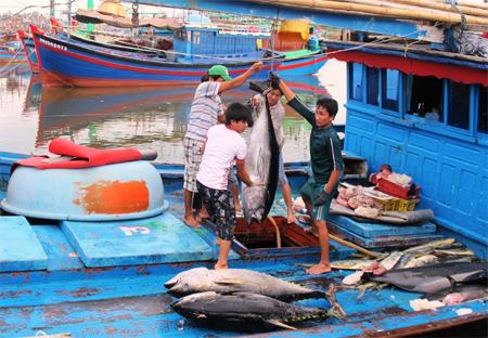 Bài 1: Bám biển không ngại sóng gió