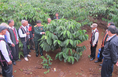 Tạo diện mạo mới cho nông thôn Tây Nguyên