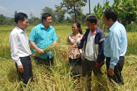 Màu xanh no ấm ở Văng Tắt