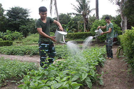 “Thực túc” nơi đảo xa