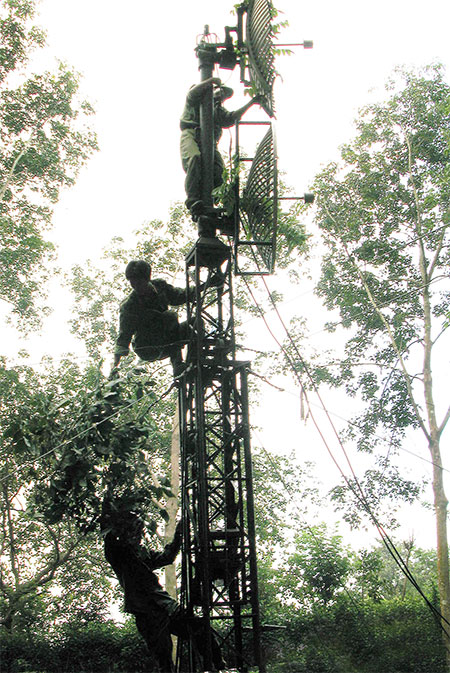 Mạch nguồn thông tin chảy mãi