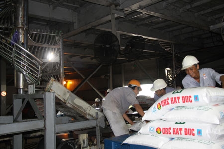 Bài 3: Đồng xanh từ dòng sữa biển mẹ