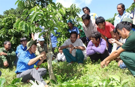 Đại ngàn không chỉ màu xanh lá