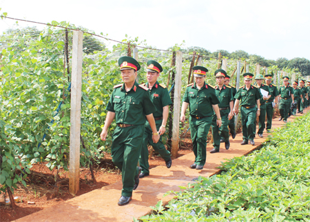 Hiệu quả từ xây dựng điển hình về tăng gia sản xuất