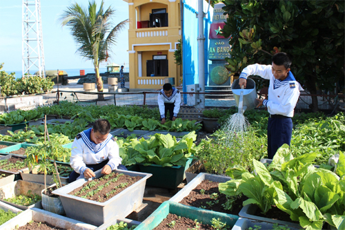 Trồng rau xanh ở Trường Sa