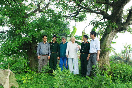 Chuyện kể dưới bóng 