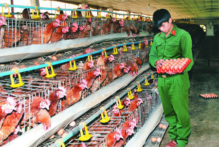 Tạo đột phá cả bề rộng và chiều sâu