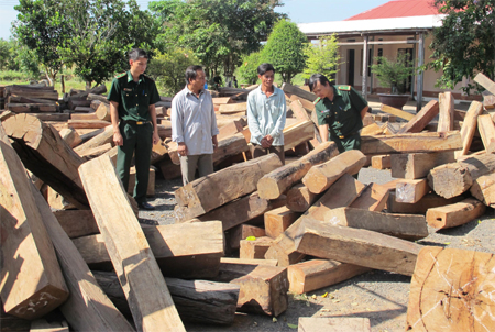 Dũng cảm đấu tranh, triệt phá các vụ án ma túy và buôn lậu lớn