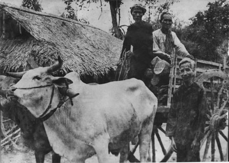 Kỳ 2: Cây đại thụ và những bông hoa trên vùng đất thép